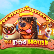 Dog House